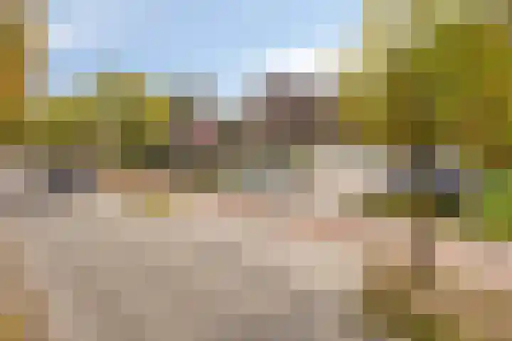 Cosunpark 1 C1 Breda thumbnail 31