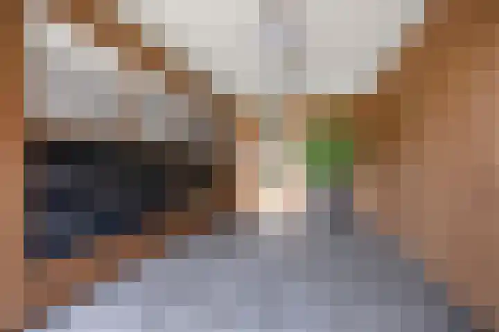 Cosunpark 1 C1 Breda thumbnail 4