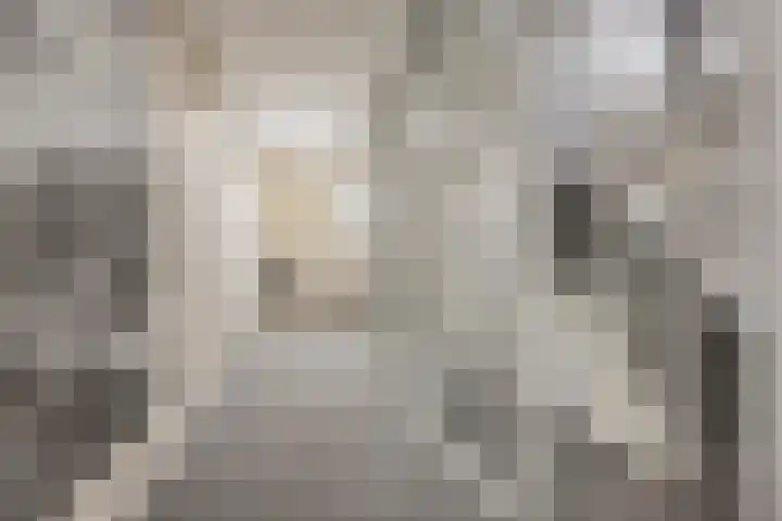 Cosunpark 1 C1 Breda thumbnail 5