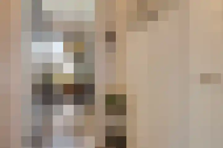 Cosunpark 1 C1 Breda thumbnail 7