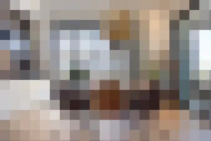 Cosunpark 1 C1 Breda thumbnail 8