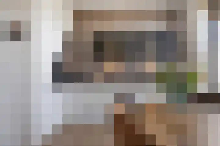 Cosunpark 1 C1 Breda thumbnail 9