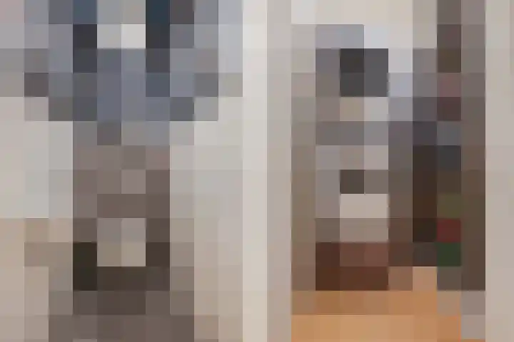 Cosunpark 1 E2 Breda thumbnail 11