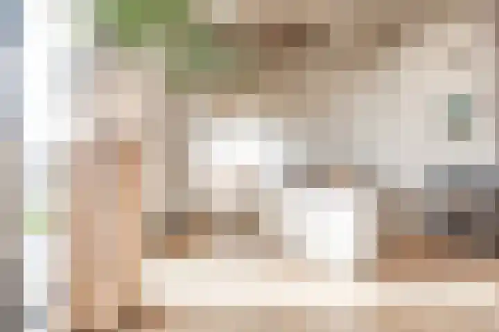 Cosunpark 1 E2 Breda thumbnail 13