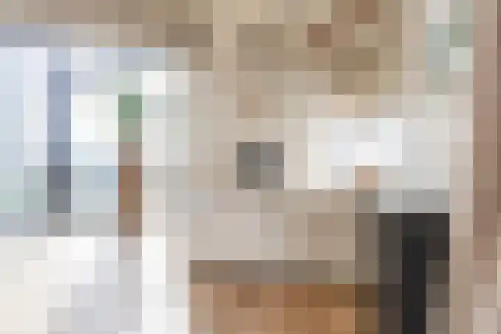 Cosunpark 1 E2 Breda thumbnail 14