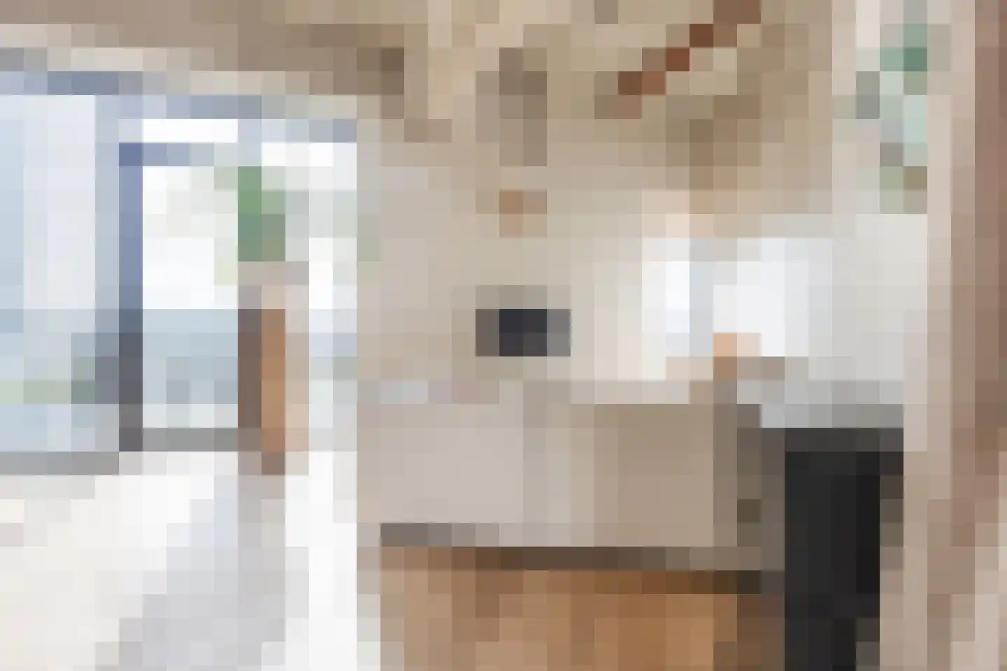 Cosunpark 1 E2 Breda thumbnail 14