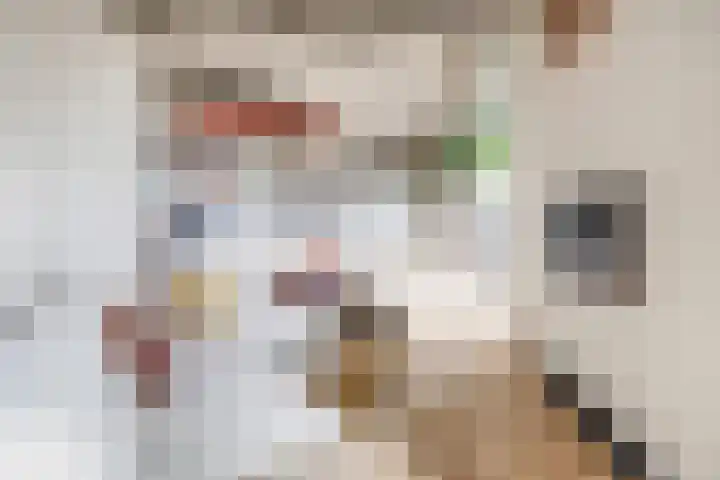 Cosunpark 1 E2 Breda thumbnail 18