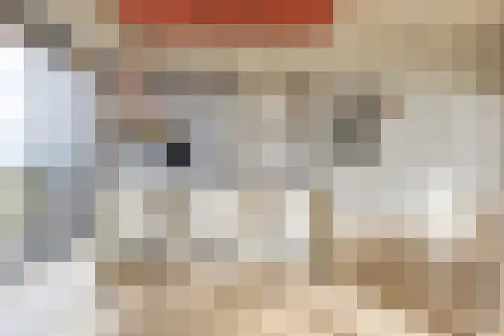 Cosunpark 1 E2 Breda thumbnail 22