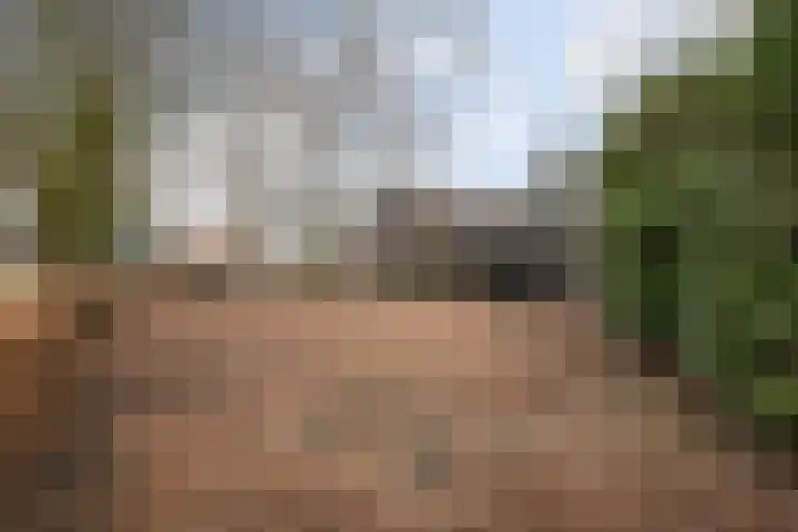 Cosunpark 1 E2 Breda thumbnail 25