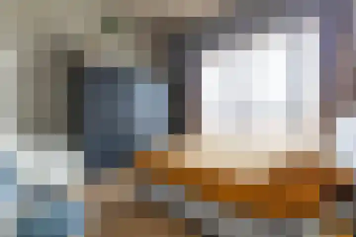 Cosunpark 1 E2 Breda thumbnail 31
