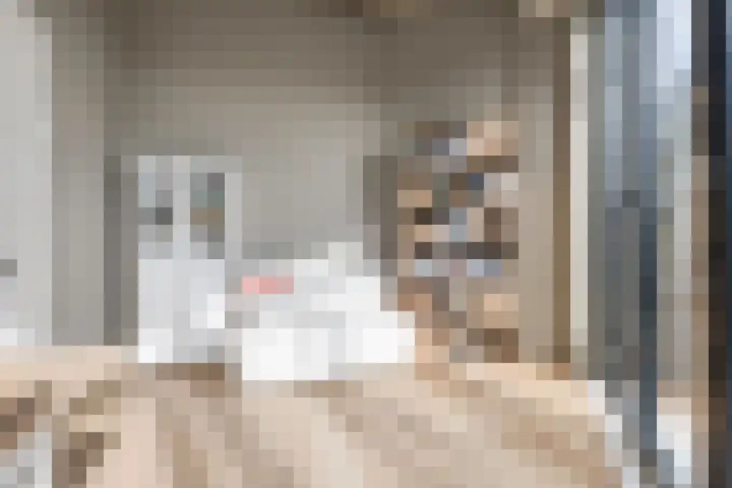 Cosunpark 1 E2 Breda thumbnail 36