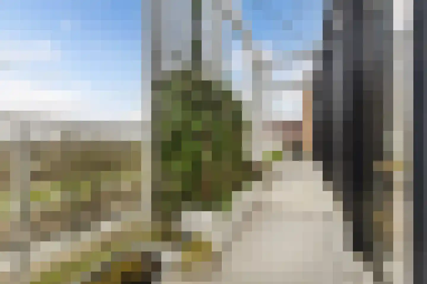 Cosunpark 1 E2 Breda thumbnail 42