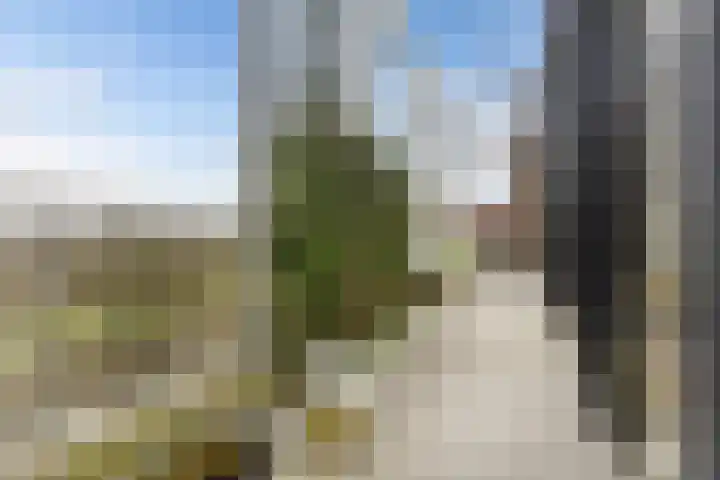 Cosunpark 1 E2 Breda thumbnail 42