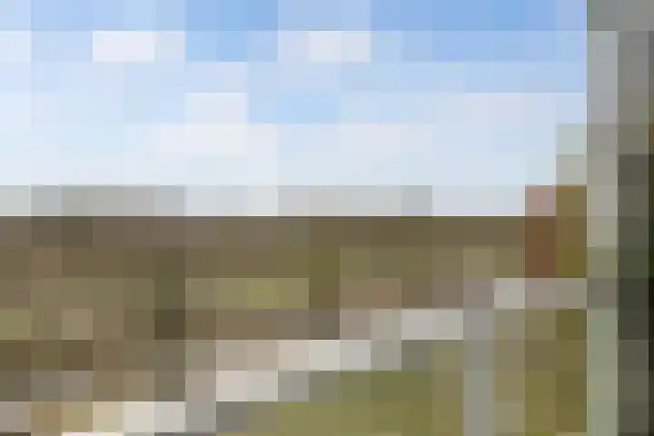 Cosunpark 1 E2 Breda thumbnail 43