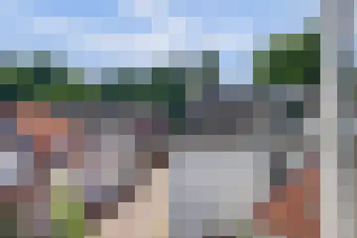 Cosunpark 1 E2 Breda thumbnail 44