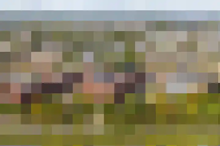 Cosunpark 1 E2 Breda thumbnail 47