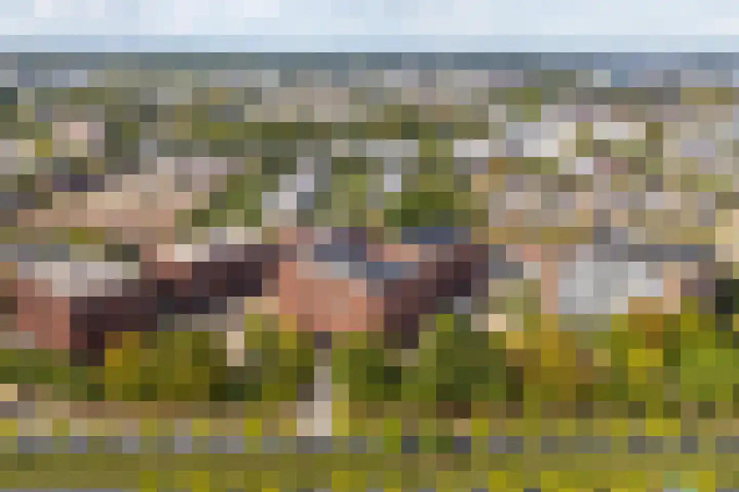 Cosunpark 1 E2 Breda thumbnail 47