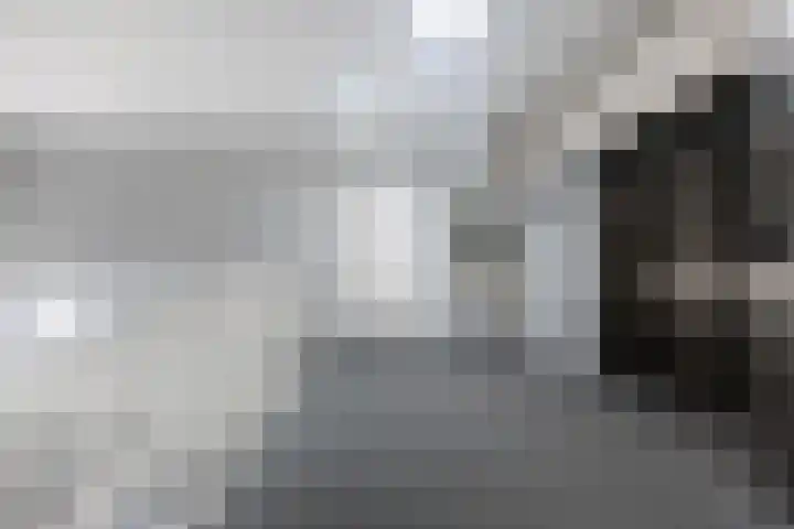 Cosunpark 1 E2 Breda thumbnail 9