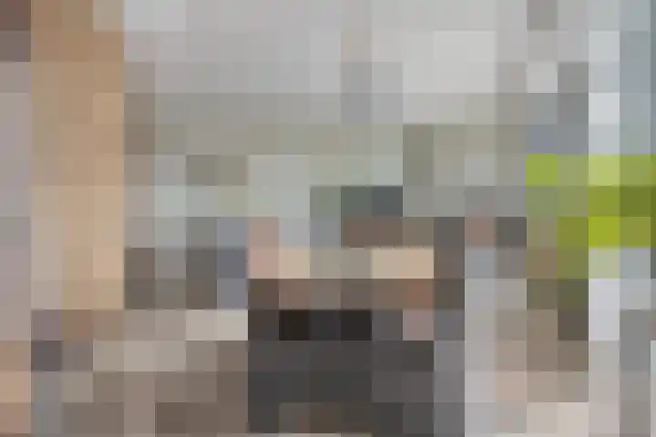 Cosunpark 1 E3 Breda thumbnail 16