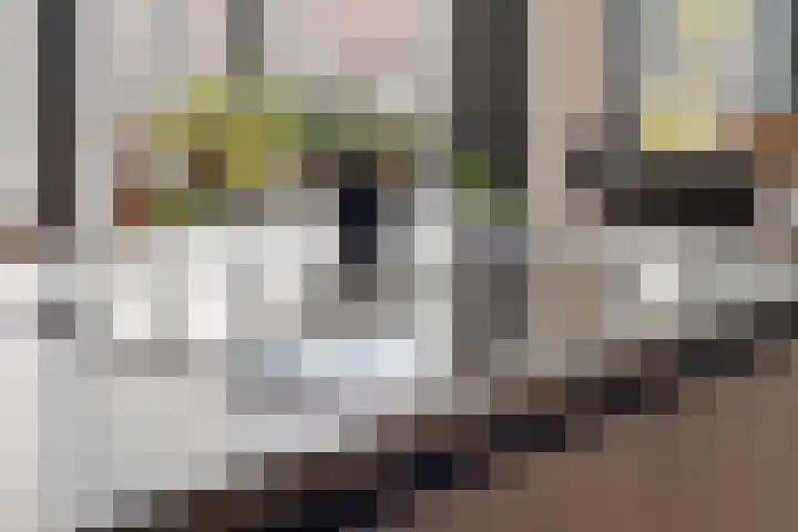 Cosunpark 1 E3 Breda thumbnail 21