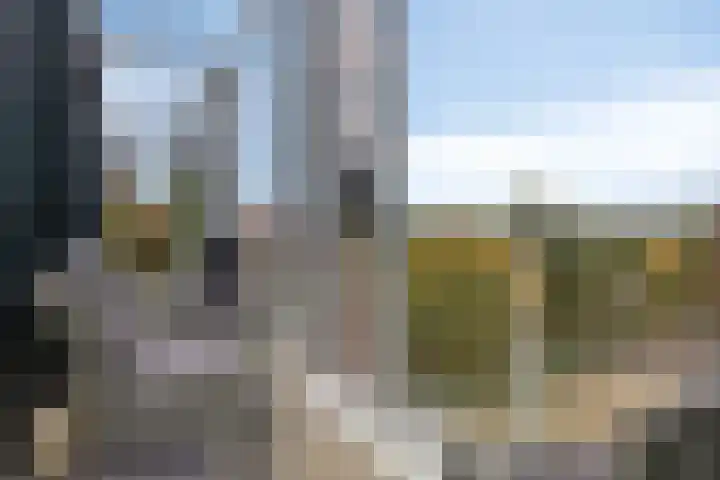 Cosunpark 1 E3 Breda thumbnail 35