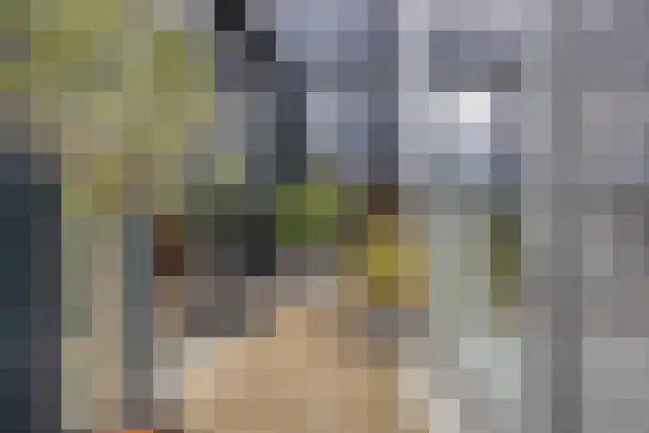 Cosunpark 1 E3 Breda thumbnail 37