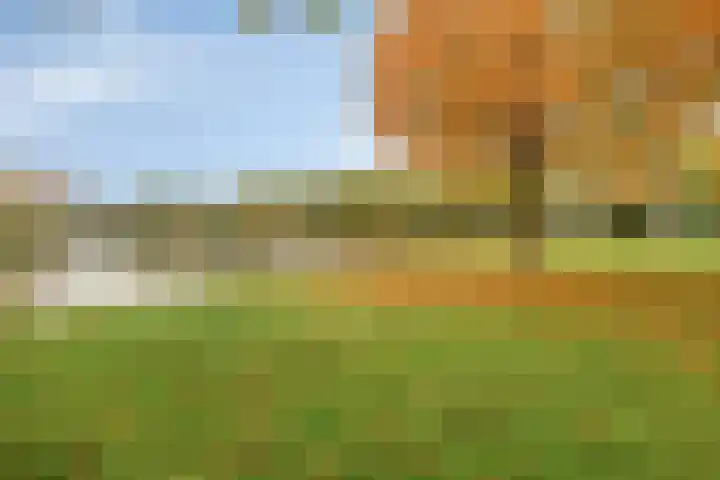 Cosunpark 1 E3 Breda thumbnail 47