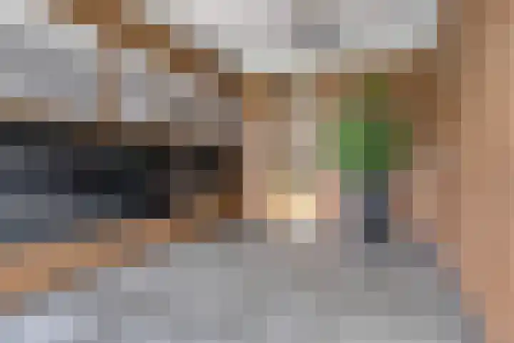 Cosunpark 1 E3 Breda thumbnail 7