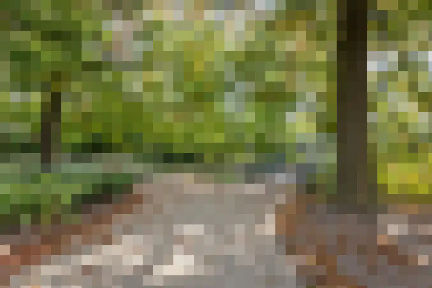 Cosunpark 10 A Breda thumbnail 34