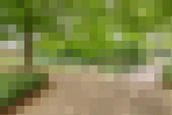 Cosunpark 2 H Breda thumbnail 21