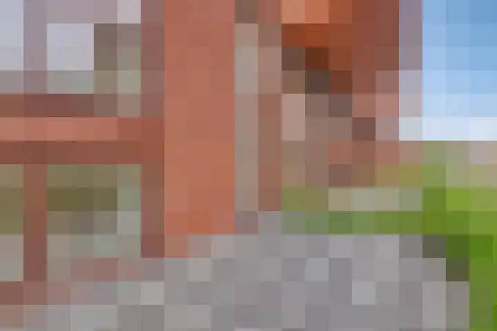 Cosunpark 2 H Breda thumbnail 8