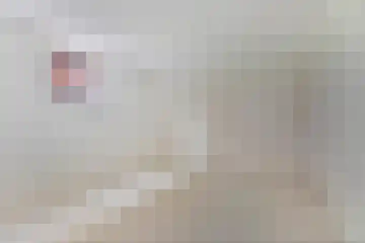 Cosunpark 2 H Breda thumbnail 9