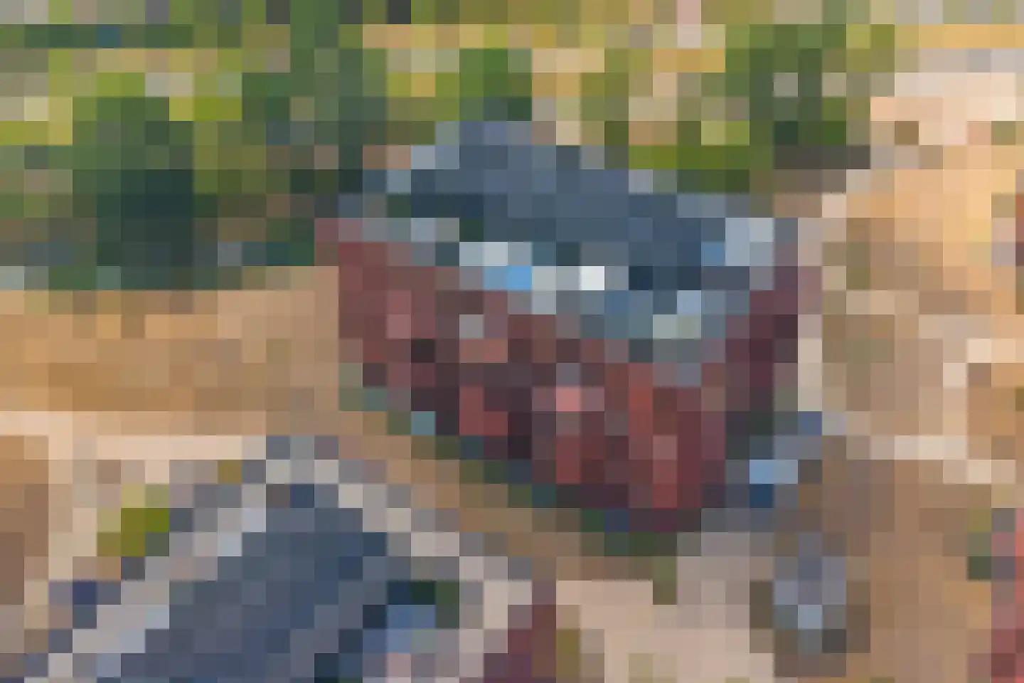 Cosunpark 3 B3 Breda thumbnail 42