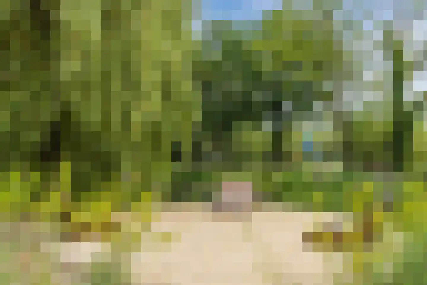 Cosunpark 3 E1 Breda thumbnail 38
