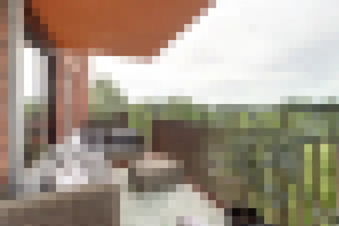 Cosunpark 3 E8 Breda thumbnail 29