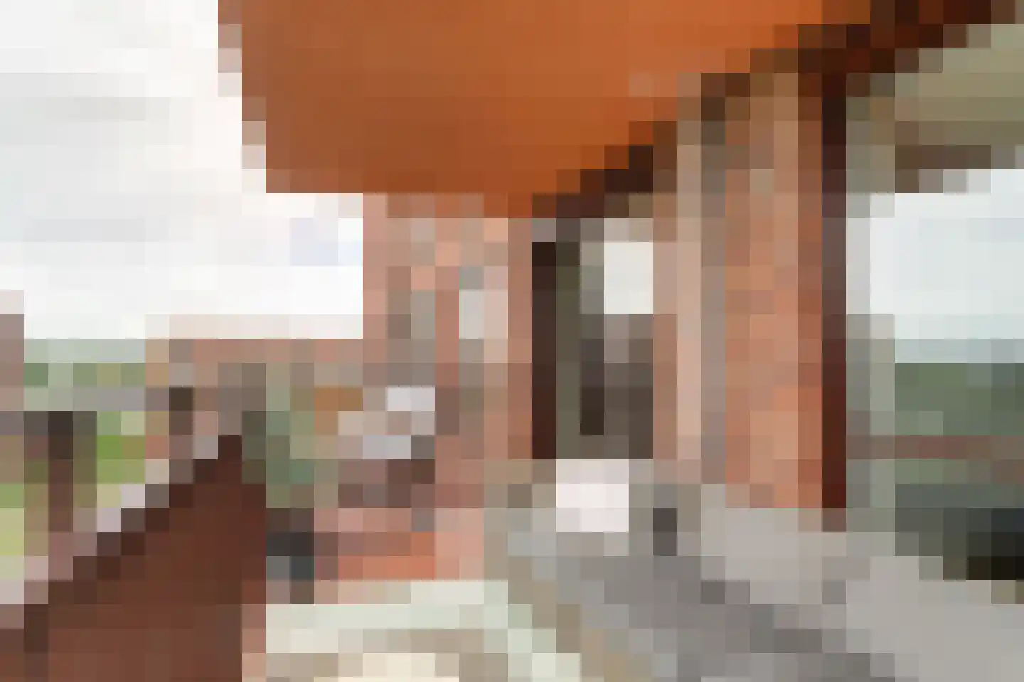 Cosunpark 3 E8 Breda thumbnail 30