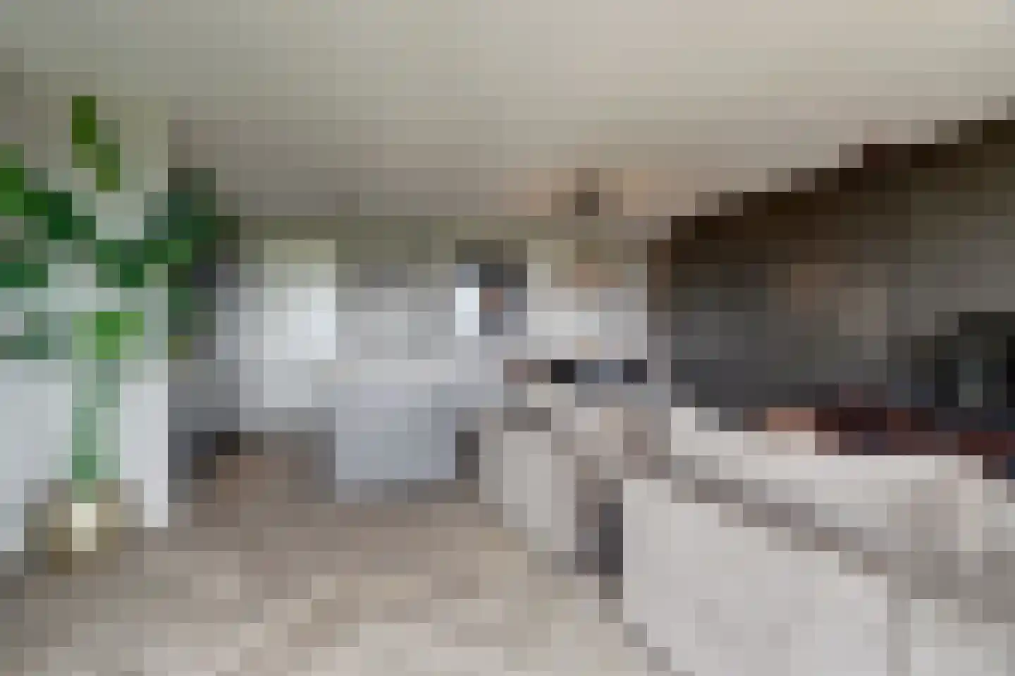 Cosunpark 3 E8 Breda thumbnail 9