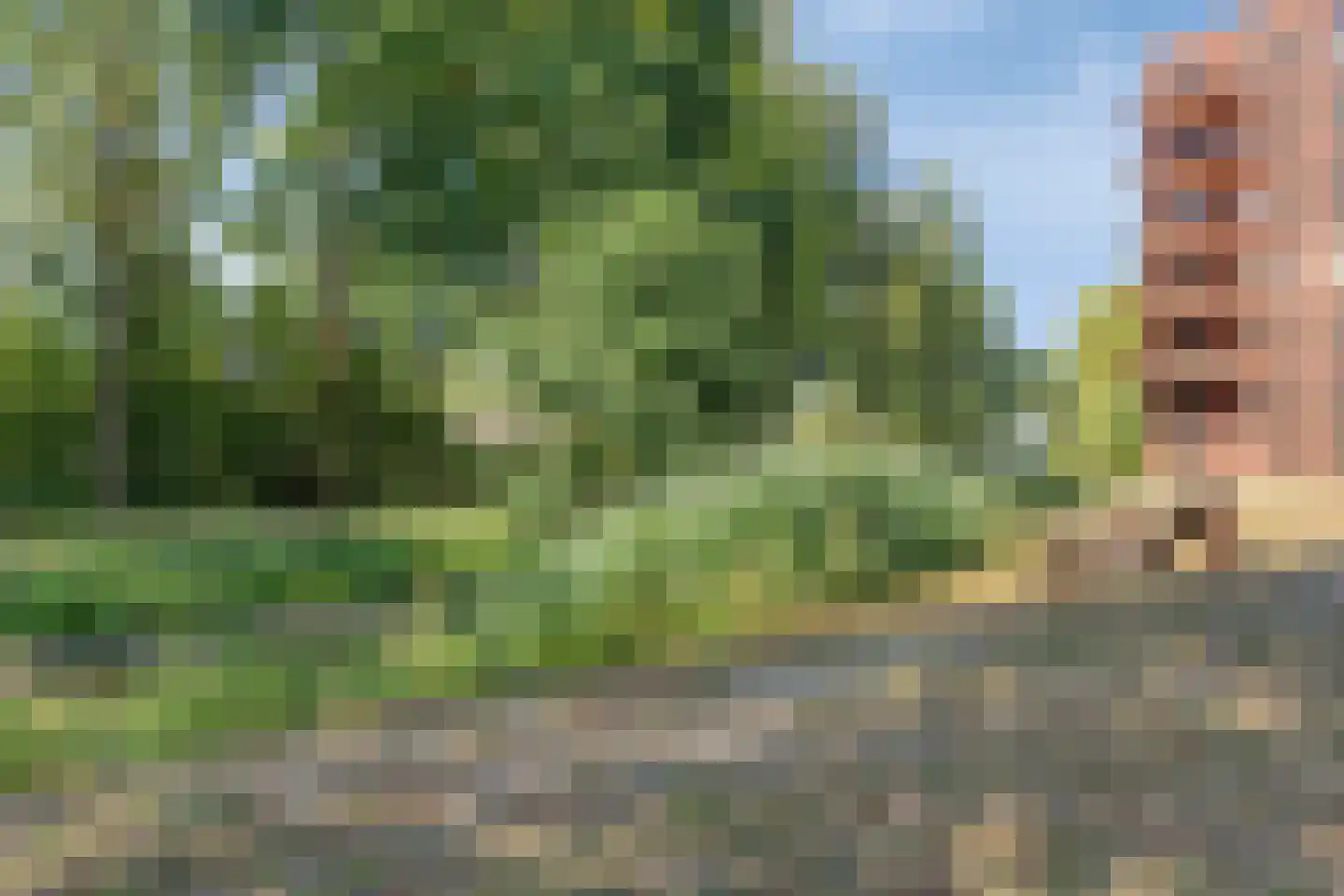 Cosunpark 4 F Breda thumbnail 30