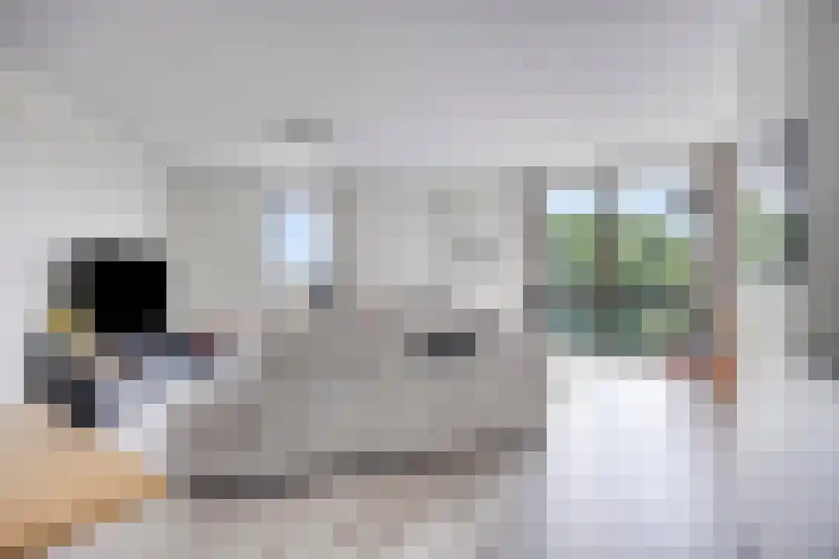 Cosunpark 45 Breda thumbnail 6