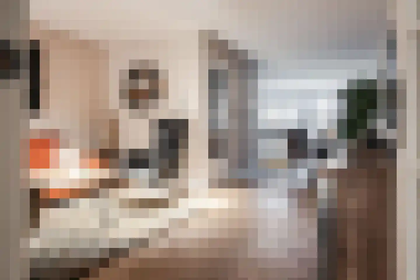 Cotélaan 15 Santpoort-Noord thumbnail 11