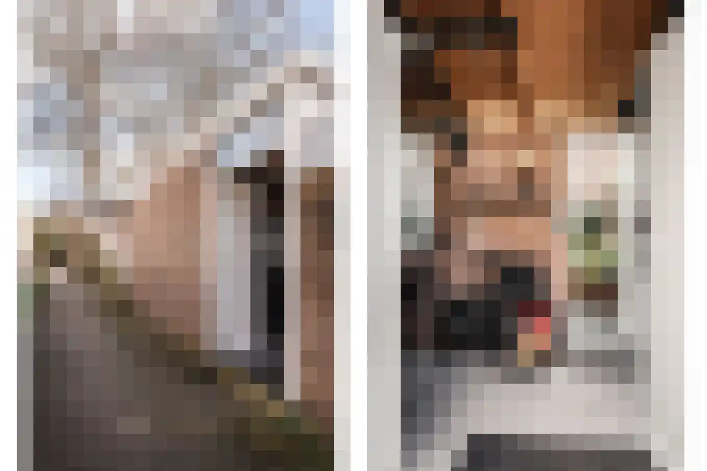 Cotélaan 15 Santpoort-Noord thumbnail 22