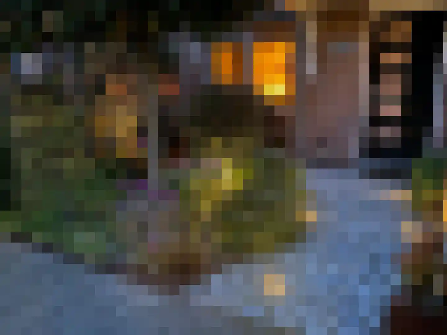 Cotélaan 15 Santpoort-Noord thumbnail 35