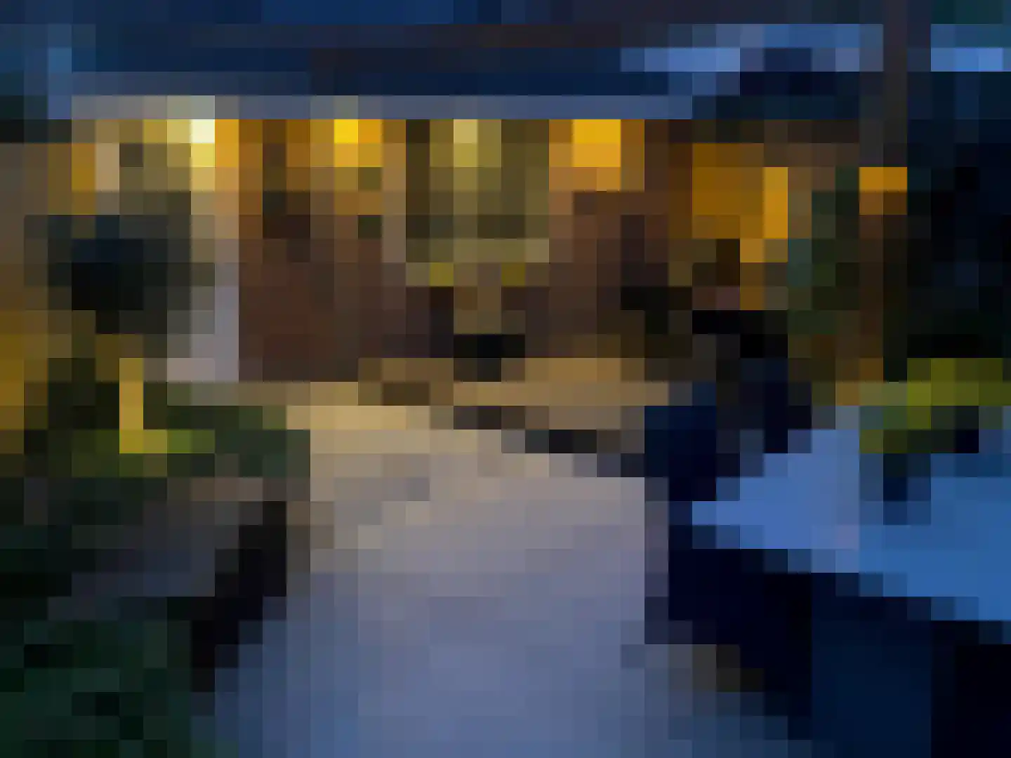Cotélaan 15 Santpoort-Noord thumbnail 37