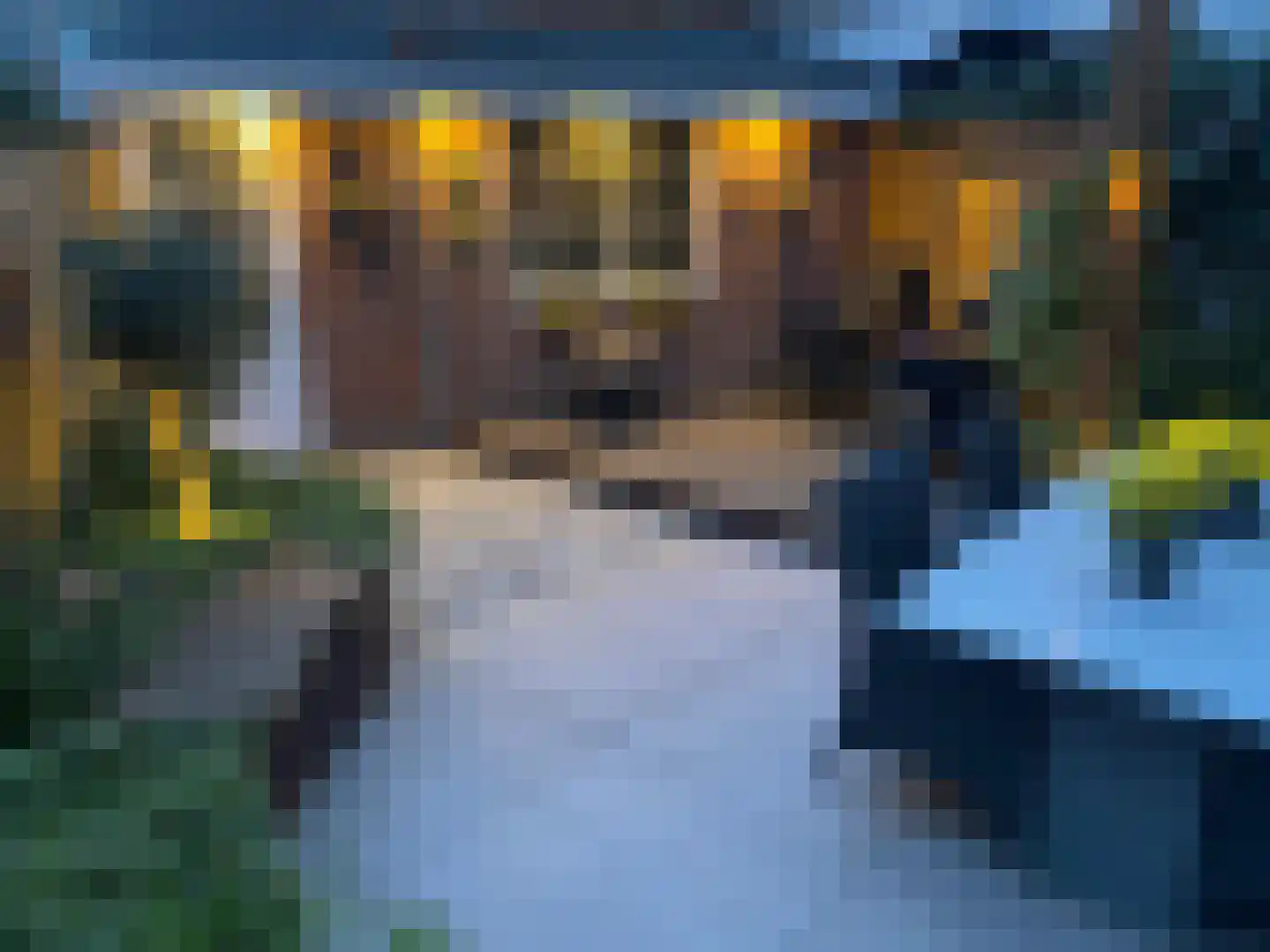 Cotélaan 15 Santpoort-Noord thumbnail 39