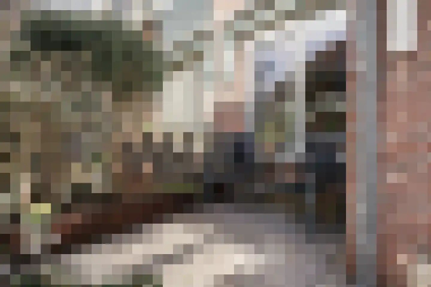 Cotélaan 15 Santpoort-Noord thumbnail 8