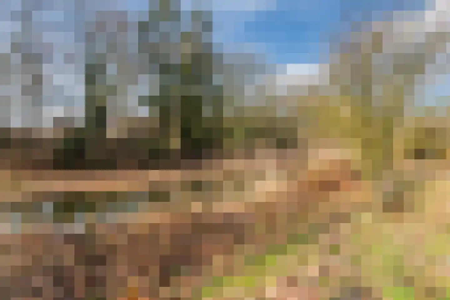 Cotentinlaan 48 Eindhoven thumbnail 40