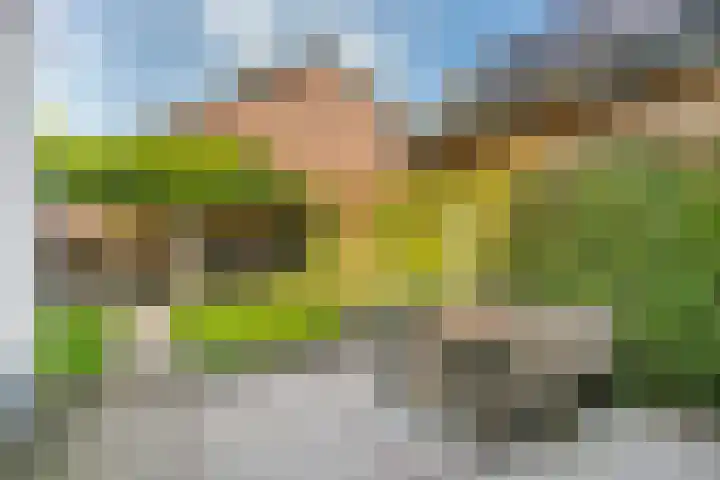 Cotherweg 37 Langbroek thumbnail 17