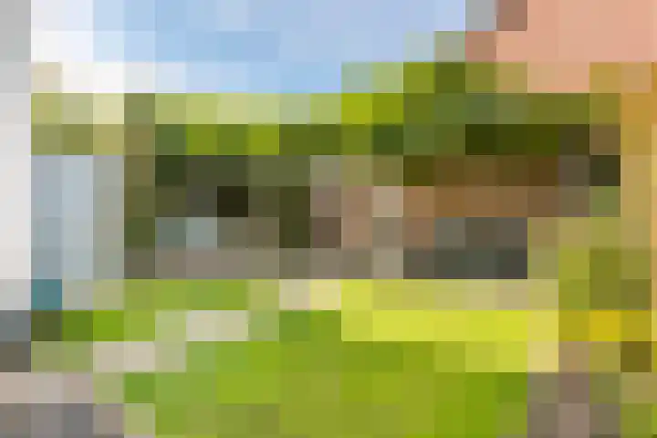 Cotherweg 37 Langbroek thumbnail 18