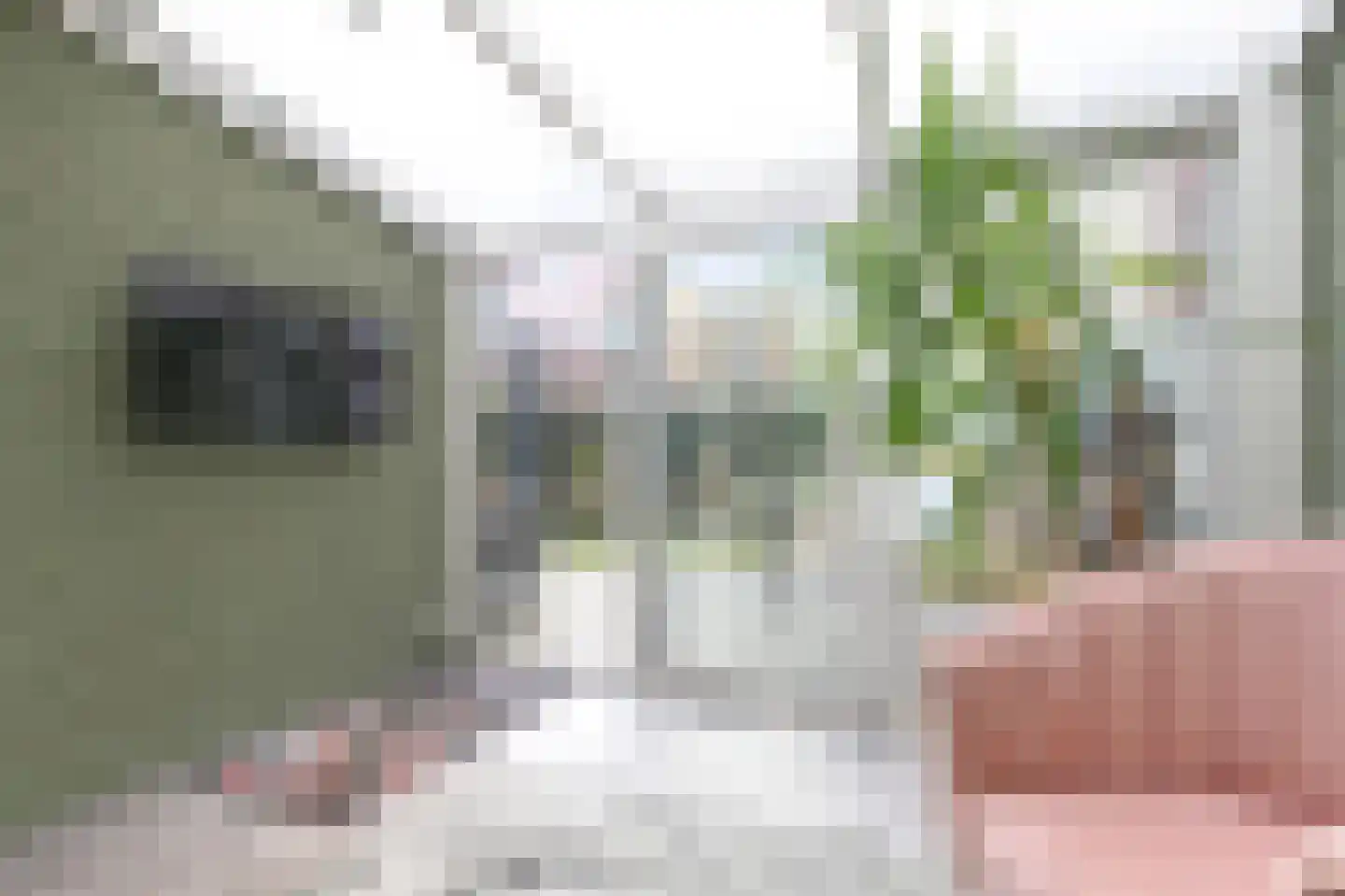 Cottierstraat 9 Naaldwijk thumbnail 16