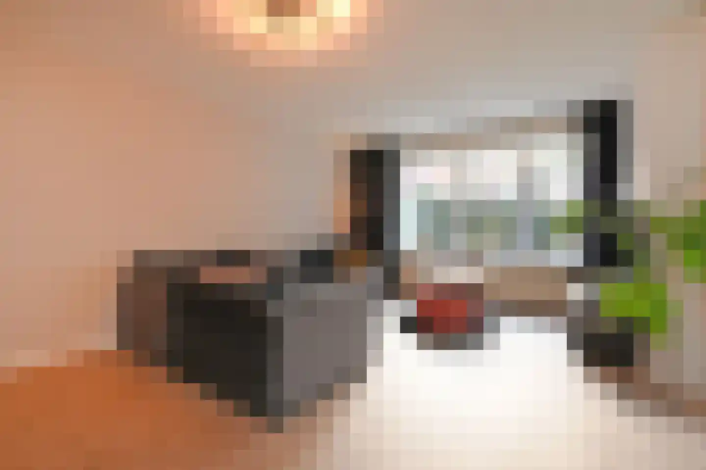 Cottierstraat 9 Naaldwijk thumbnail 17